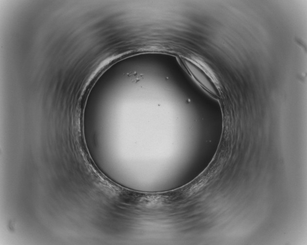 X0000098051000200804071502