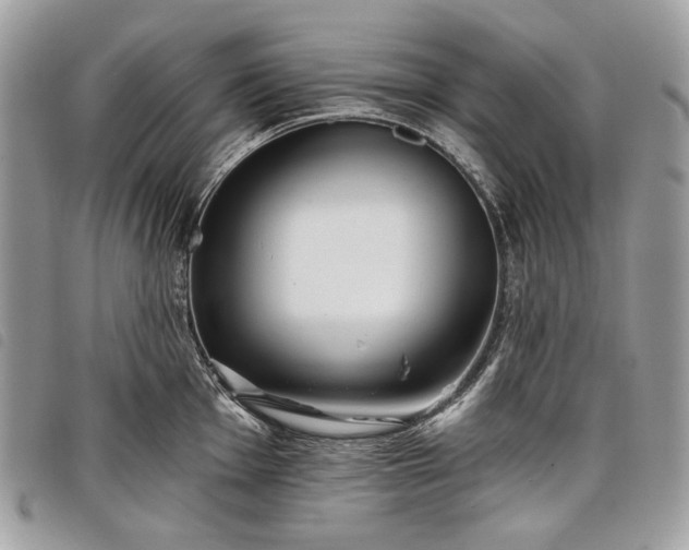 X0000098051001200804071502