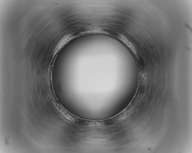 X0000098051002200804071502