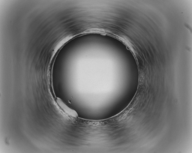 X0000098051003200804071502