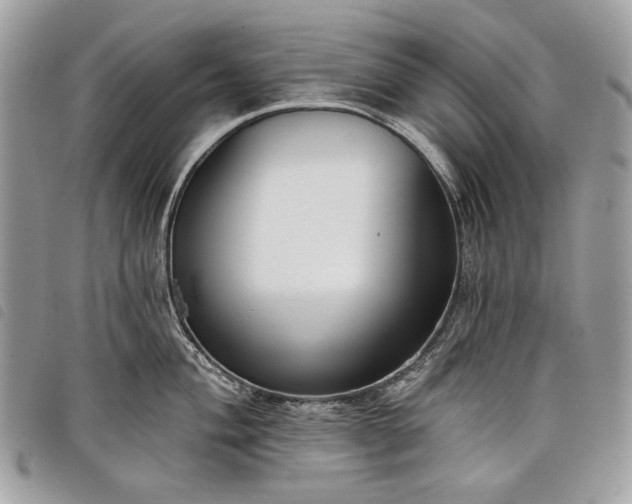 X0000098051004200804071502