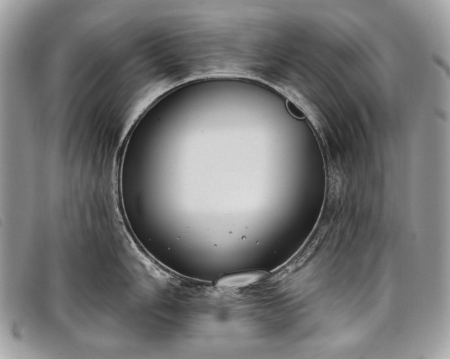 X0000098051006200804071502