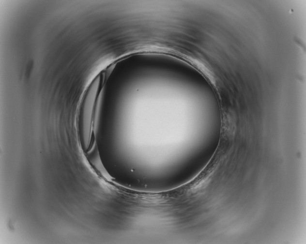 X0000098051007200804071502