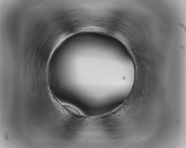 X0000098051008200804071502