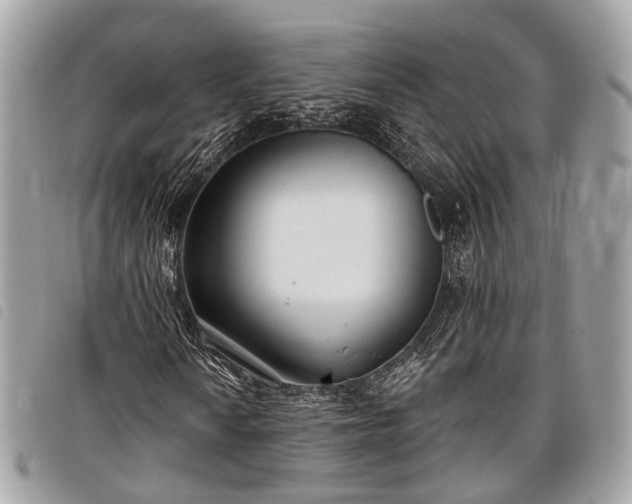 X0000098051010200804071501