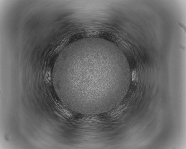 X0000098051011200804071501