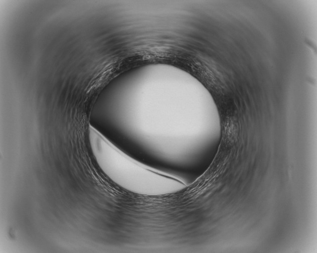 X0000098051012200804071501