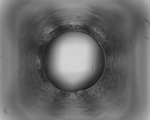 X0000098051013200804071501