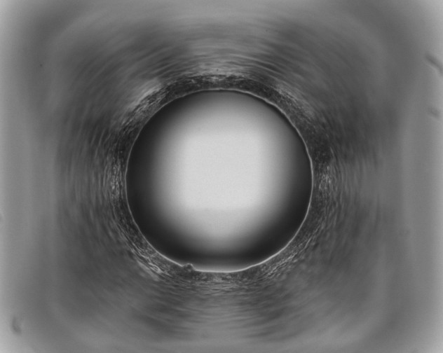 X0000098051014200804071501