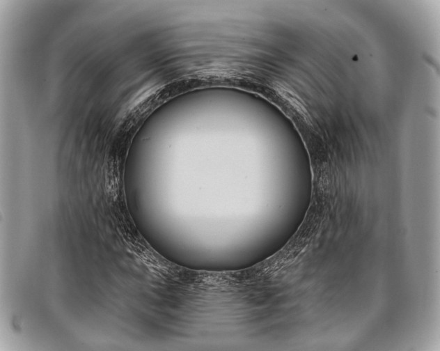 X0000098051015200804071501