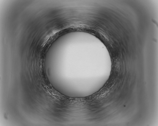 X0000098051016200804071501