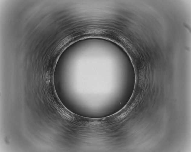 X0000098051017200804071502