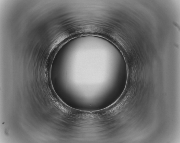 X0000098051018200804071502