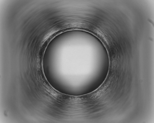 X0000098051019200804071502