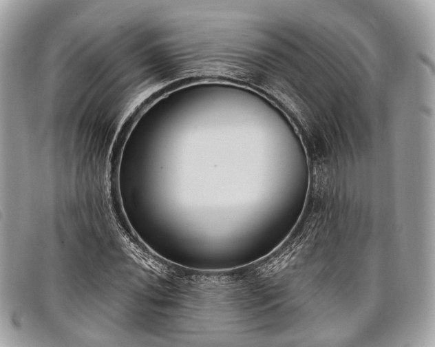 X0000098051020200804071502