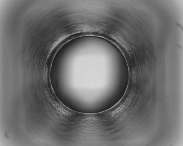 X0000098051021200804071502