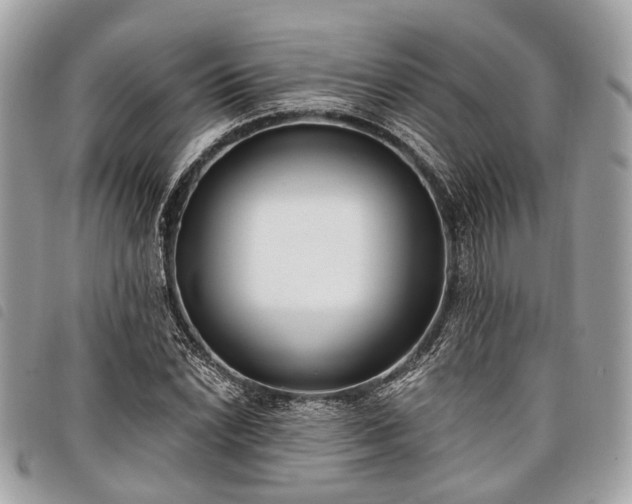 X0000098051022200804071502