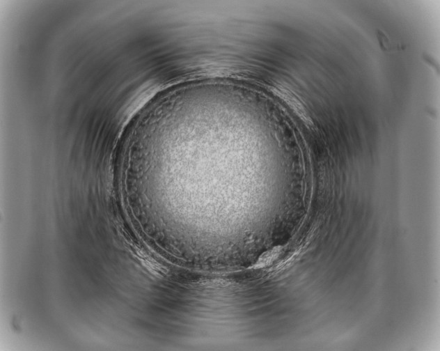 X0000098051023200804071502