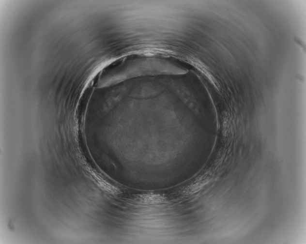 X0000098051024200804071502