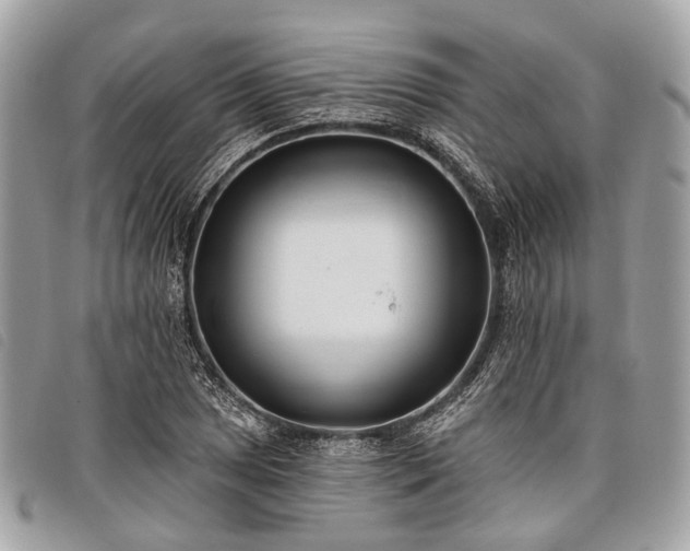 X0000098051025200804071502