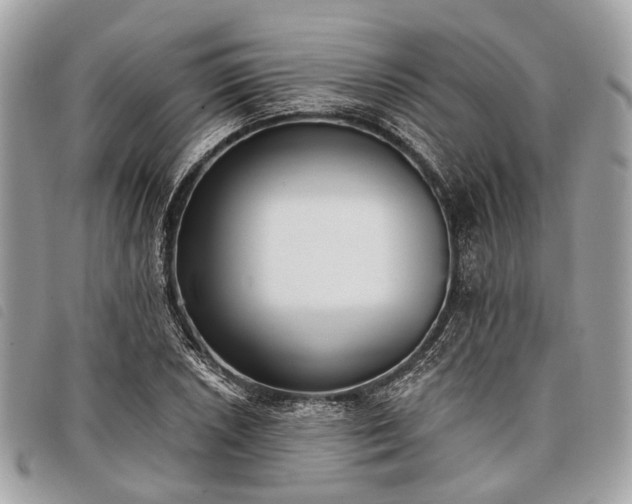 X0000098051026200804071502