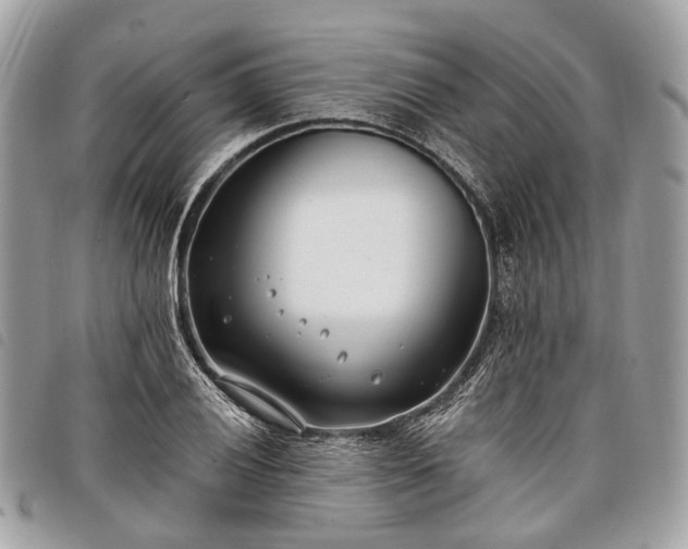 X0000098051028200804071502