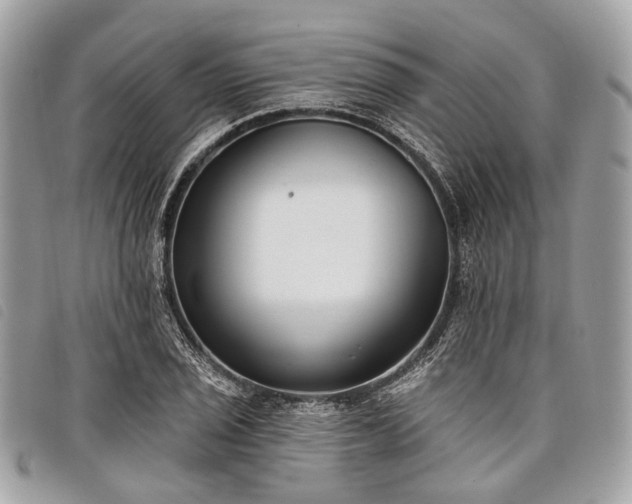 X0000098051029200804071502