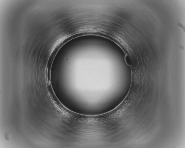 X0000098051030200804071502