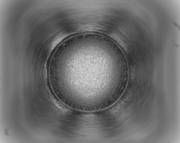 X0000098051031200804071502