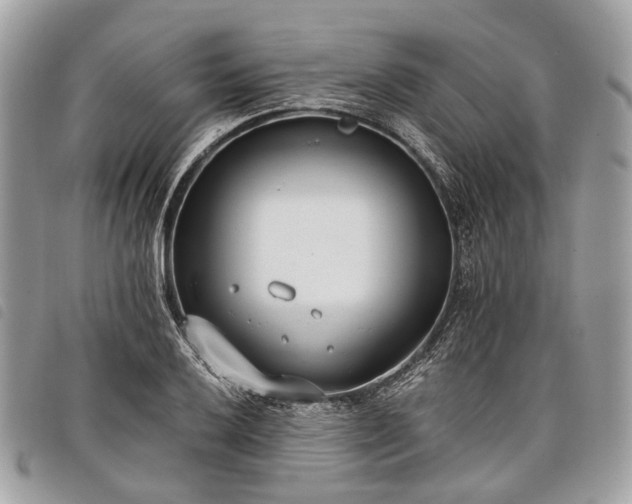 X0000098051032200804071502