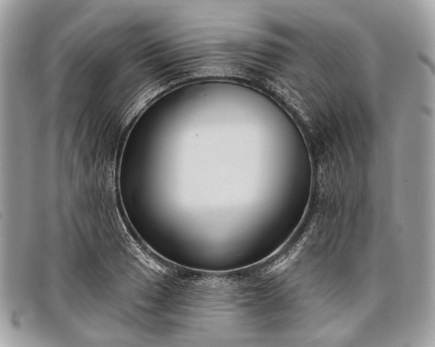 X0000098051033200804071502