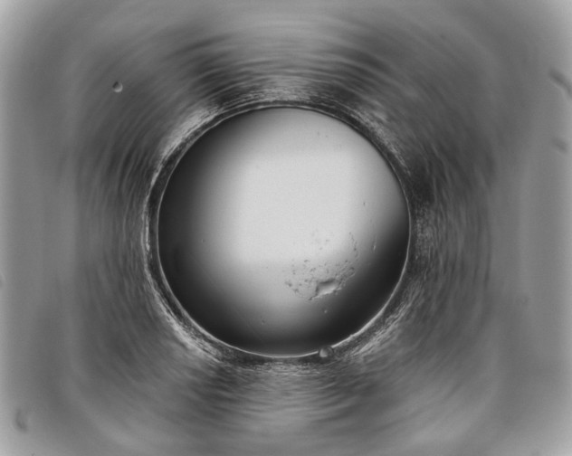 X0000098051034200804071502