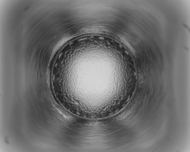 X0000098051035200804071502