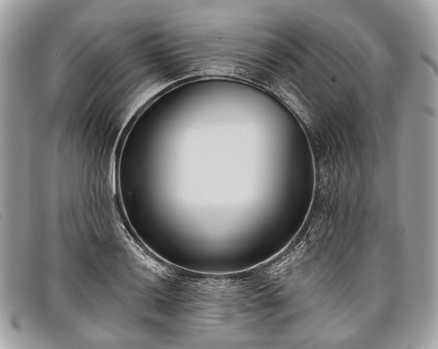 X0000098051036200804071502