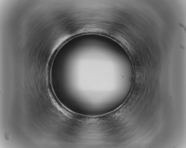 X0000098051038200804071502