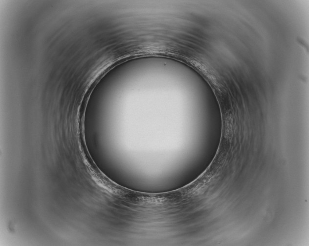 X0000098051039200804071502