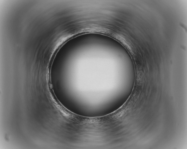 X0000098051040200804071502