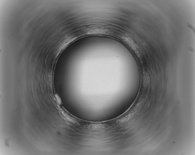 X0000098051041200804071502