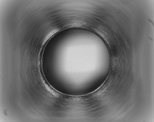 X0000098051042200804071502