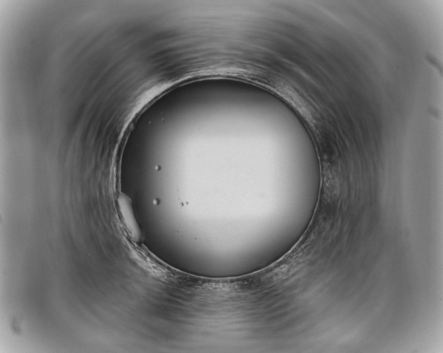 X0000098051044200804071502