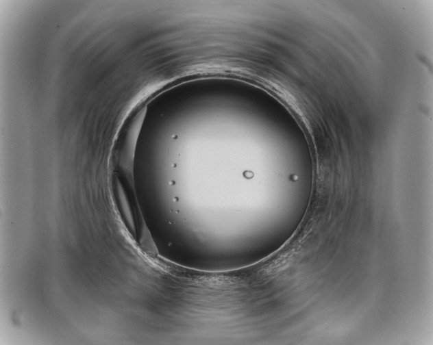 X0000098051045200804071502