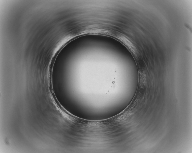 X0000098051046200804071502