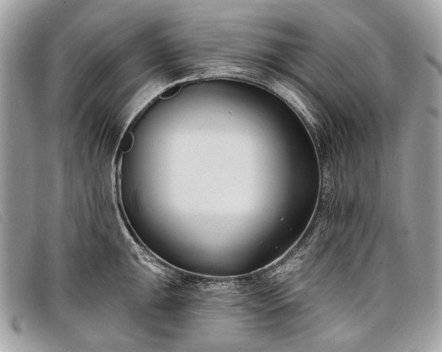 X0000098051047200804071502