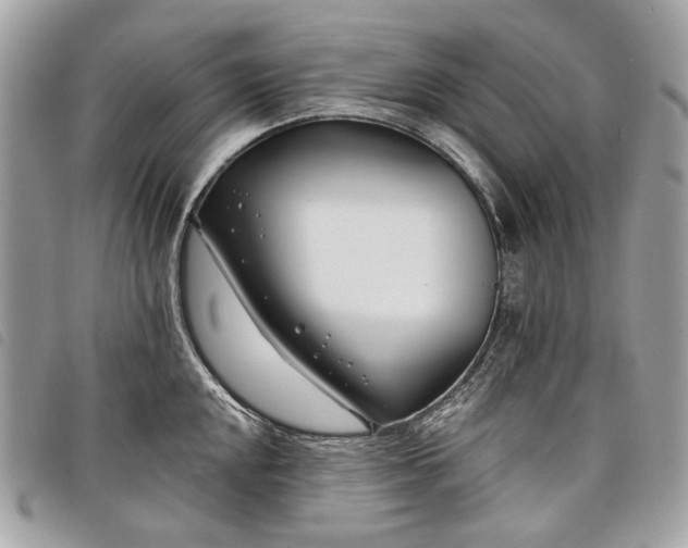 X0000098051048200804071502