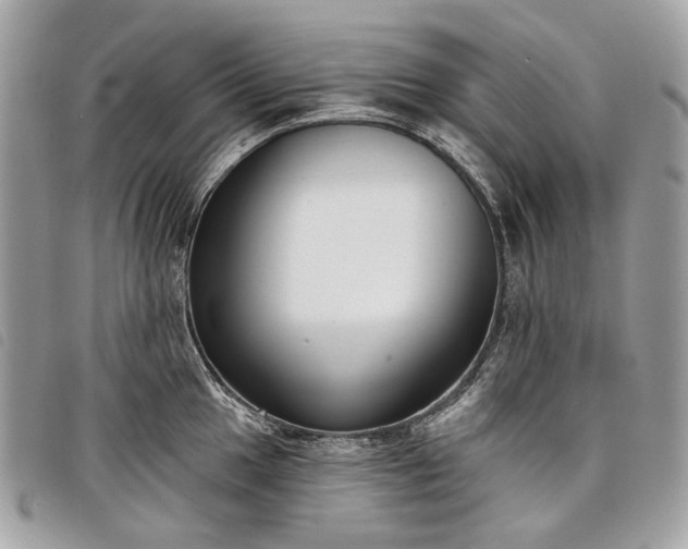 X0000098051049200804071502