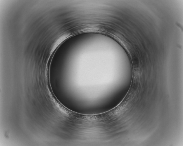 X0000098051050200804071502