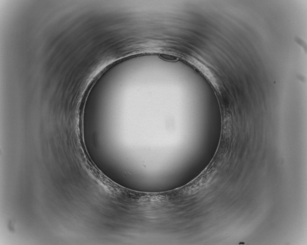 X0000098051051200804071502