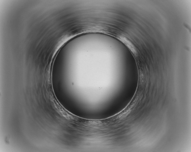 X0000098051052200804071502