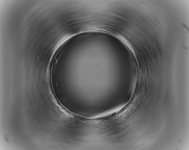 X0000098051053200804071502