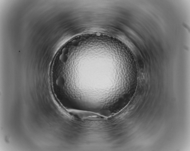 X0000098051055200804071502